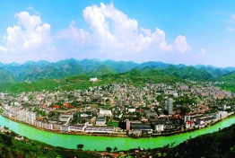 贵州茅台