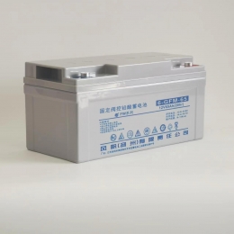 风帆12V65AH
